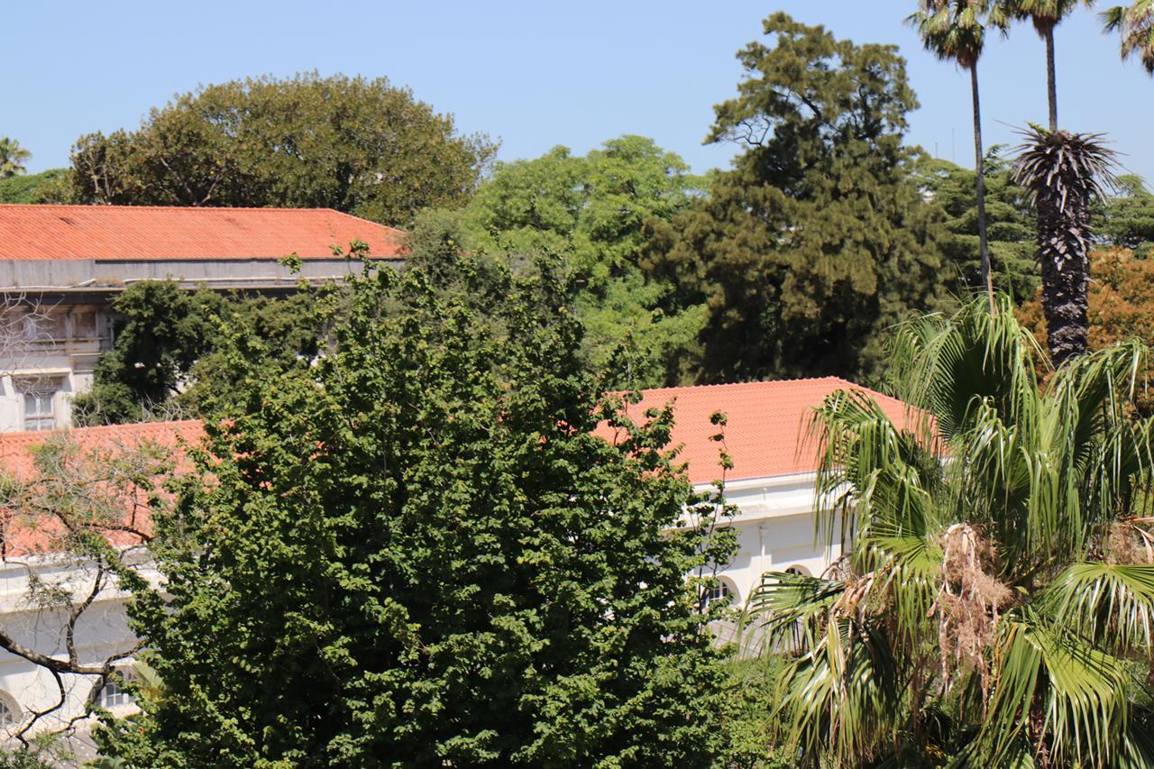 Botanic Views Guest House Lisboa Exterior foto